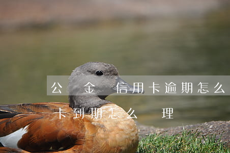 公積金對信用卡逾期怎么辦理嗎(公積金信用卡到期怎么辦理)