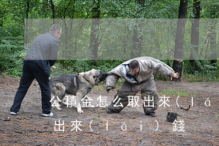 公積金怎么取出來(lái)(公積金怎么取出來(lái)錢?)