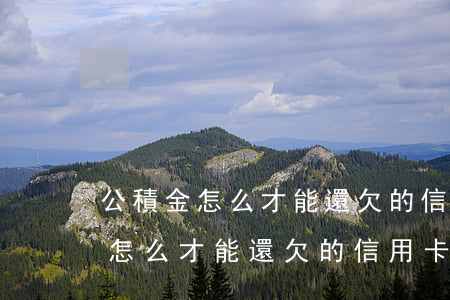 公積金怎么才能還欠的信用卡貸款-公積金怎么才能還欠的信用卡貸款呢