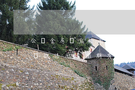 公積金房貸后信用卡逾期怎么辦(住房公積金貸款信用卡逾期有影響嗎)