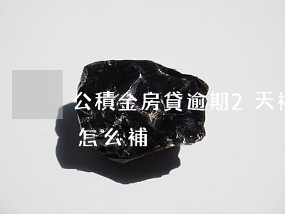 公積金房貸逾期2天補救(公積金貸款逾期了怎么補)