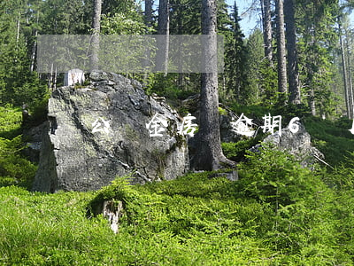 公積金房貸逾期6個月了(公積金逾期兩天)