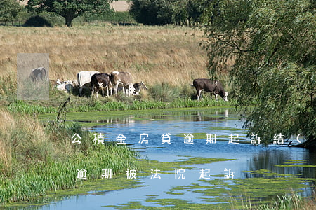 公積金房貸逾期起訴結(jié)果(公積金逾期被法院起訴)