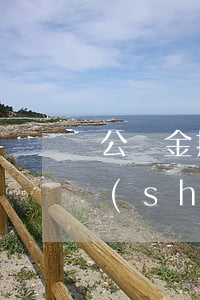公積金提取幾次算逾期(公積金可以提取次數(shù))