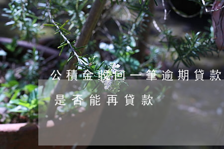 公積金收回一筆逾期貸款(公積金有一次逾期是否能再貸款)
