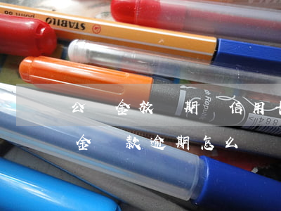 公積金放貸期間信用卡逾期怎么辦(銀行公積金貸款逾期怎么辦)