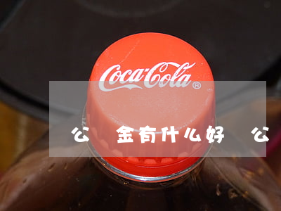 公積金有什么好處(公積金有什么好處)