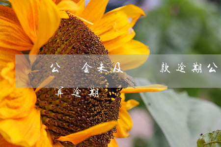 公積金未及時還款逾期(公積金貸款多久沒還算逾期)