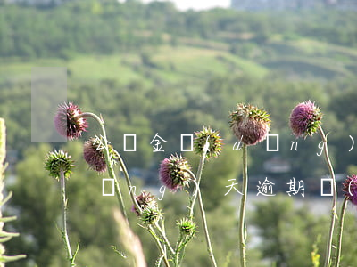 公積金當(dāng)天逾期(公積金當(dāng)天逾期當(dāng)天還)