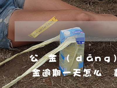 公積金當(dāng)天還款逾期(住房公積金逾期一天怎么還款)