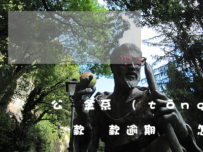 公積金系統(tǒng)寫逾期還款(公積金貸款還款逾期記錄怎么處理?)