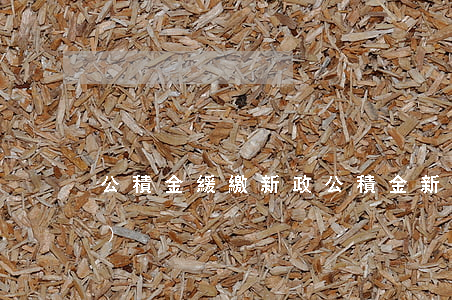 公積金緩繳新政(公積金新政策出臺(tái))