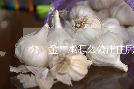 公積金繼承怎么公正(住房公積金繼承)