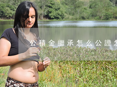 公積金繼承怎么公證(怎樣辦理繼承公證)