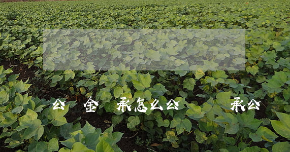 公積金繼承怎么公證書(繼承公證書去哪里辦)