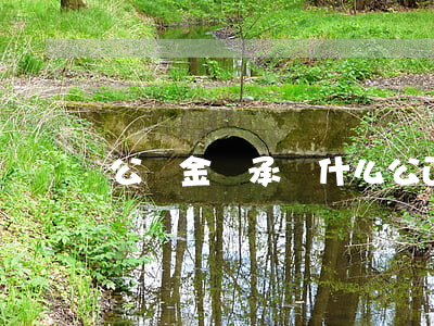 公積金繼承為什么公正(住房公積金繼承)