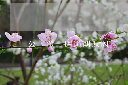 公積金說明逾期原因