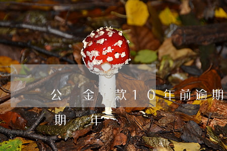 公積金貸款10年前逾期(銀行貸款10萬逾期兩年)