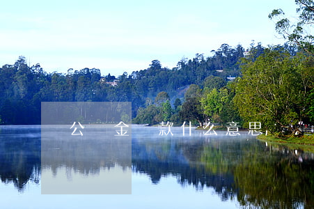 公積金貸款什么意思