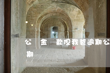 公積金貸款但我爸逾期(公積金貸款但我爸逾期)