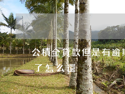 公積金貸款但是有逾期(住房公積金貸款逾期了怎么還)