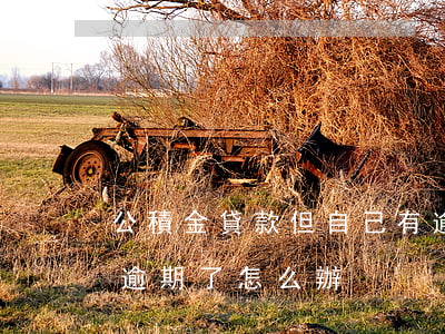 公積金貸款但自己有逾期(公積金貸款不小心逾期了怎么辦)