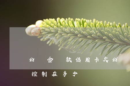 公積金貸款信用卡欠(公積金貸款信用卡欠款控制在多少)