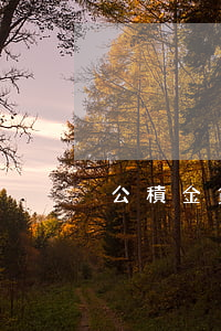 公積金貸款信用卡逾期