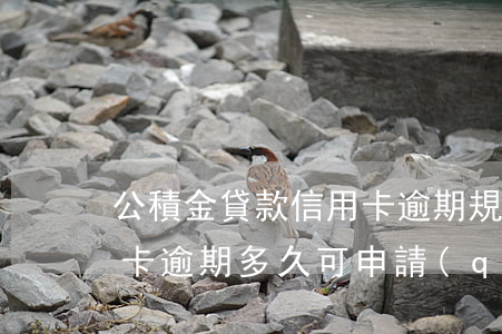 公積金貸款信用卡逾期規(guī)定（信用卡逾期多久可申請(qǐng)公積金）