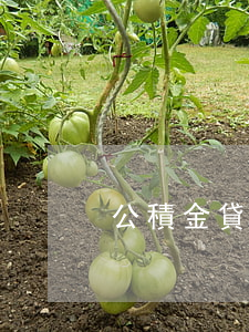 公積金貸款倍數(shù)