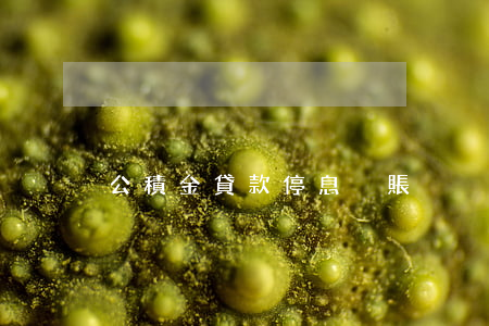 公積金貸款停息掛賬