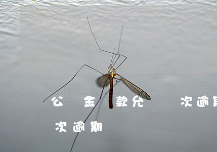 公積金貸款允許幾次逾期(公積金貸款允許幾次逾期)