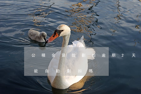 公積金貸款劃扣逾期2天(公積金逾期兩天還能自動劃扣嗎)