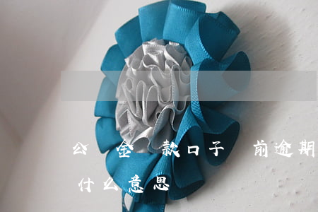 公積金貸款口子當前逾期 公積金貸款已逾期什么意思