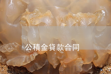 公積金貸款合同