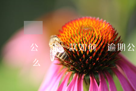 公積金貸款如何還逾期(公積金還貸逾期該怎么辦)