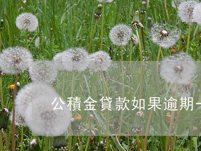 公積金貸款如果逾期一天(公積金逾期兩天)