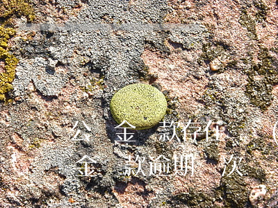 公積金貸款存在連續(xù)逾期(住房公積金貸款逾期兩次)