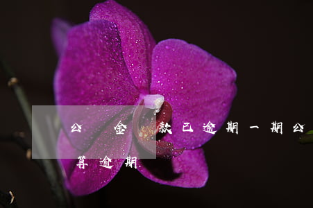 公積金貸款已逾期一期(公積金貸款逾期一天算逾期嗎)
