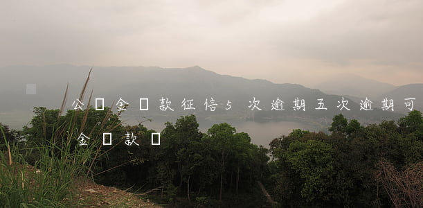 公積金貸款征信5次逾期(五次逾期可以公積金貸款嗎)