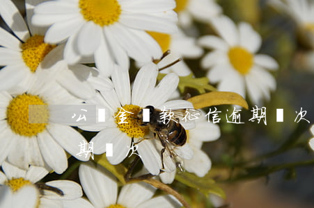 公積金貸款征信逾期幾次(公積金貸款征信逾期幾次)