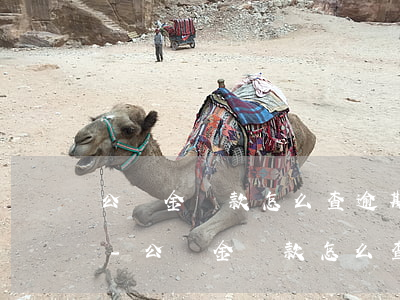 公積金貸款怎么查逾期還款狀態(tài)-公積金貸款怎么查逾期還款狀態(tài)呢