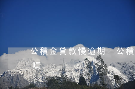 公積金貸款慢逾期-公積金貸款進度慢能催嗎