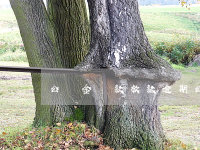 公積金貸款放款逾期(公積金貸款已放款)