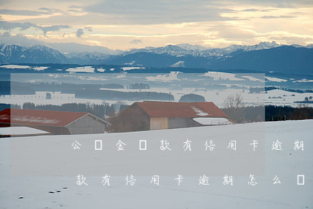 公積金貸款有信用卡逾期怎么辦-公積金貸款有信用卡逾期怎么辦理