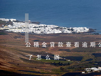 公積金貸款查看逾期(公積金貸款不小心逾期了怎么辦)