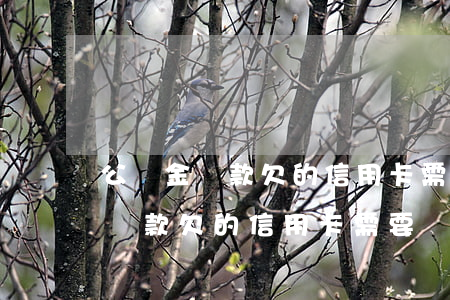 公積金貸款欠的信用卡需要還上嗎-公積金貸款欠的信用卡需要還上嗎怎么還