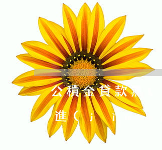 公積金貸款無(wú)逾期記錄(公積金貸款進(jìn)度查詢無(wú)記錄)