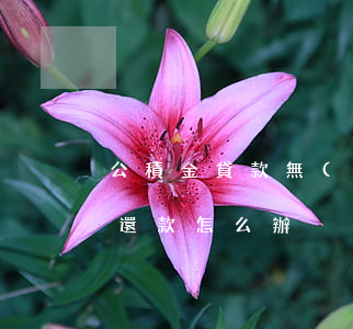 公積金貸款無(wú)逾期還款(公積金逾期還款怎么辦)