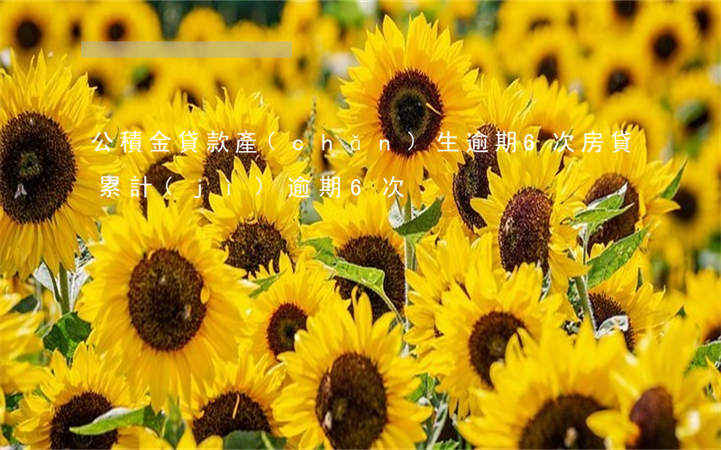 公積金貸款產(chǎn)生逾期6次(房貸累計(jì)逾期6次)